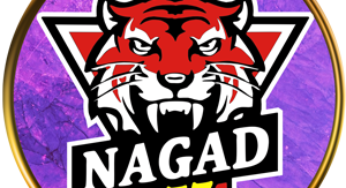Nagad 777 login